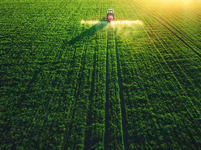 Agriculture-and-food