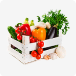 Farming-iran2africa-home Farming-iran2africa-home