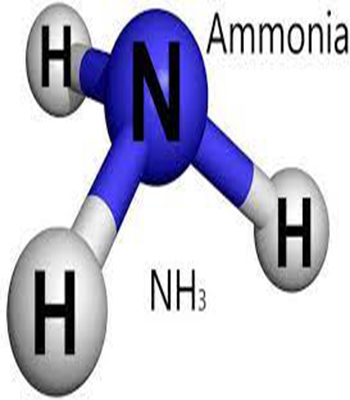 Iran2africa-ammonia.jpg