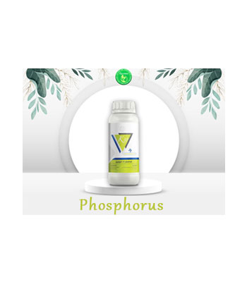 Phosphorus-Fertilizer-Product