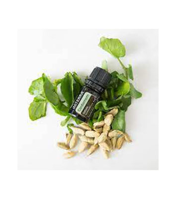 Cardamom-Essential-Oil-product