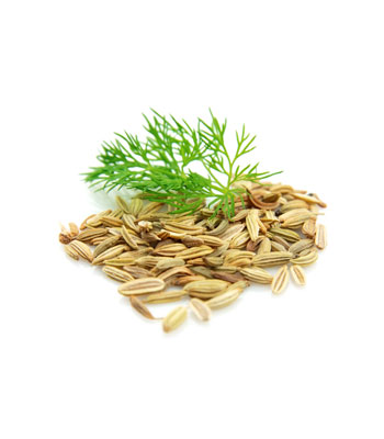 Fennel-Essential-Oil-product