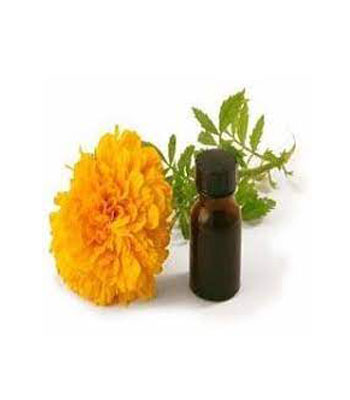 Marigold-Oily-Extract-product