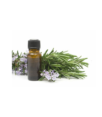 Rosemary-Essential-Oil-product