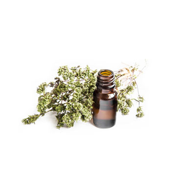 Thyme-Essential-Oill-product