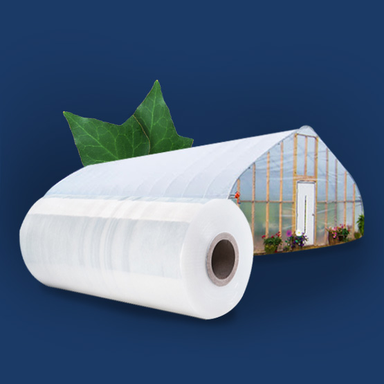 Greenhouse Nylon