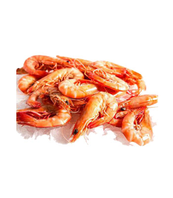 Frozen-shrimp-Product