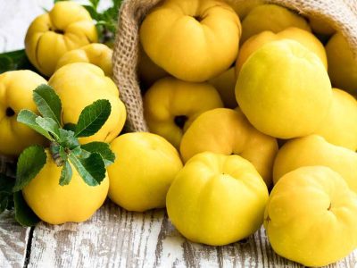 Quince-Concentrate-product