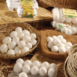 Food-Industries-service1 Food-Industries-service1